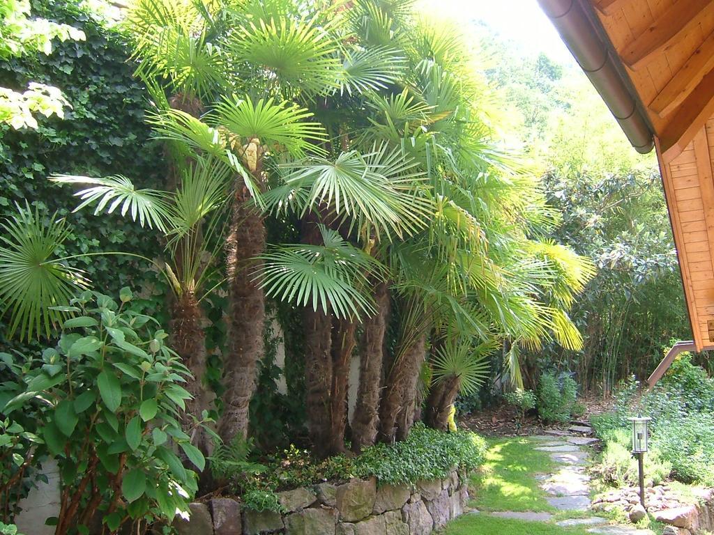 Villa Sissi Laives Exteriör bild